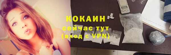 гашик Нефтекумск