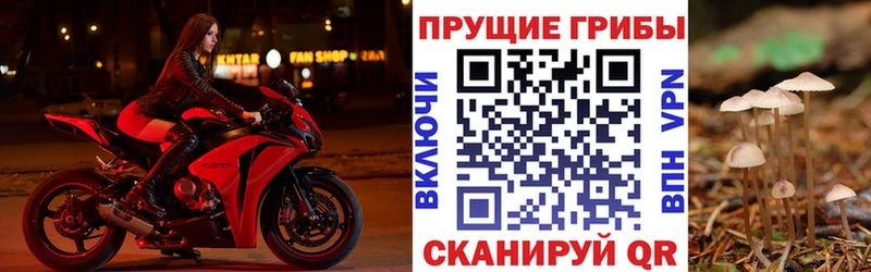 Псилоцибиновые грибы мицелий  Карталы 