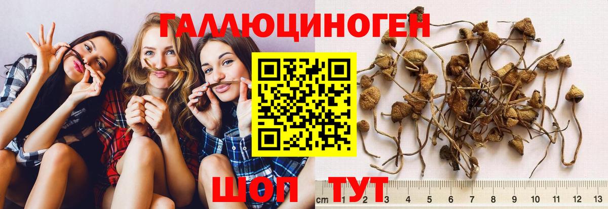 Карталы  Галлюциногенные грибы мицелий  Вход с VPN 