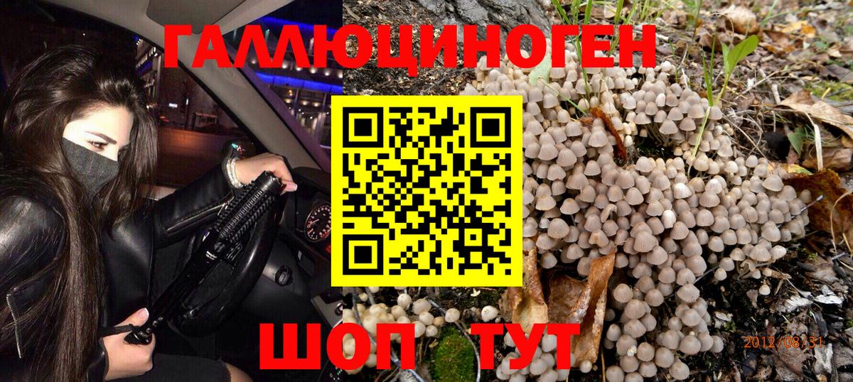 Псилоцибиновые грибы Magic Shrooms Карталы